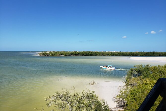 Private boat tour (3 islands tour) - Stop 3: Punta Mosquito sandbanks for swimming with a good horizon