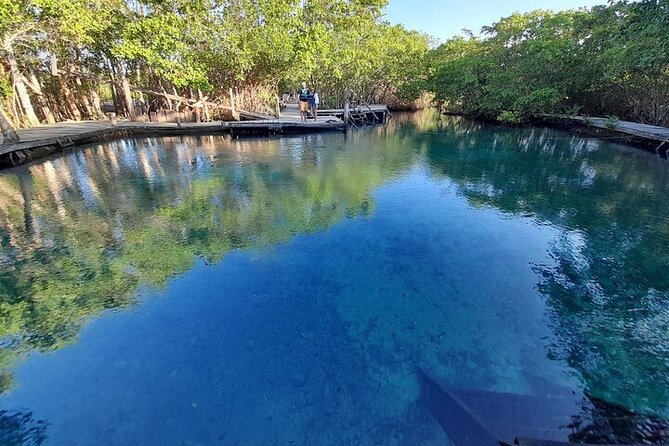Private boat tour (3 islands tour) - Pickup, language, and tickets: the practical setup
