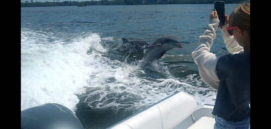 Private Boat Tour, Sunset Cruise, Island Hopping and more! - The Swimming Moment: Anchor, Jump Off, and Play Gear