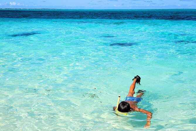 Private Boat Tour with Snorkeling, Island Hopping, and Noahs Ark - Grace Bay Beach Snorkeling: Why This Time Matters