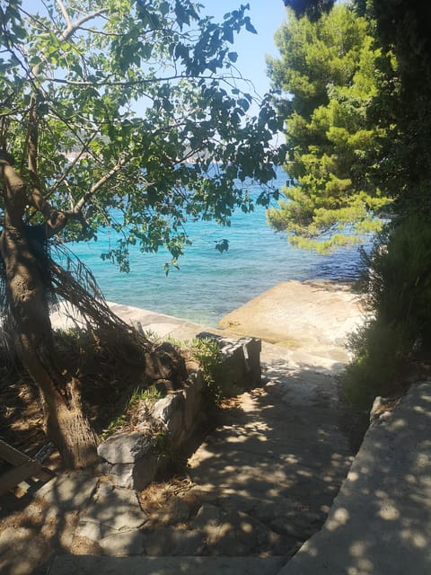 Private Island Hopping Boat tour around Zadar with Drinks - Price and value: $235 per group up to 7