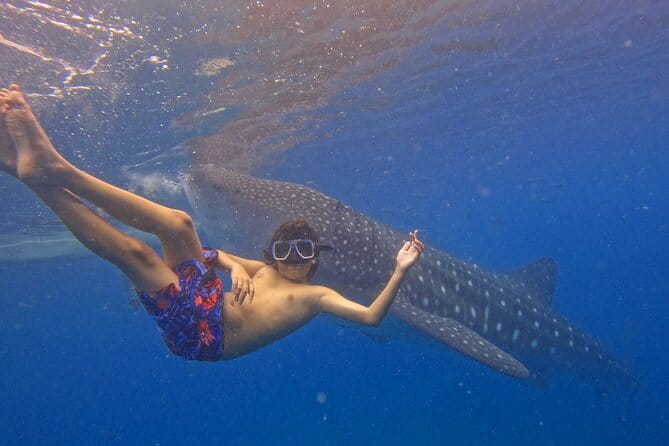 Private Island Hopping in Nasuluan, Hiltotongan and Caohngan - Food and Boat Comfort: Where Quality Can Swing