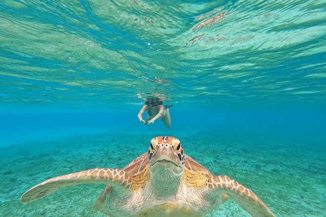 Public Snorkeling 3 Islands - Quick hits: what you’ll actually notice