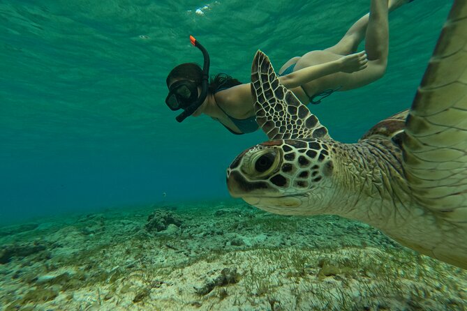 Public Snorkeling 3 Islands - Why Ozzy’s 3-island loop feels like good value
