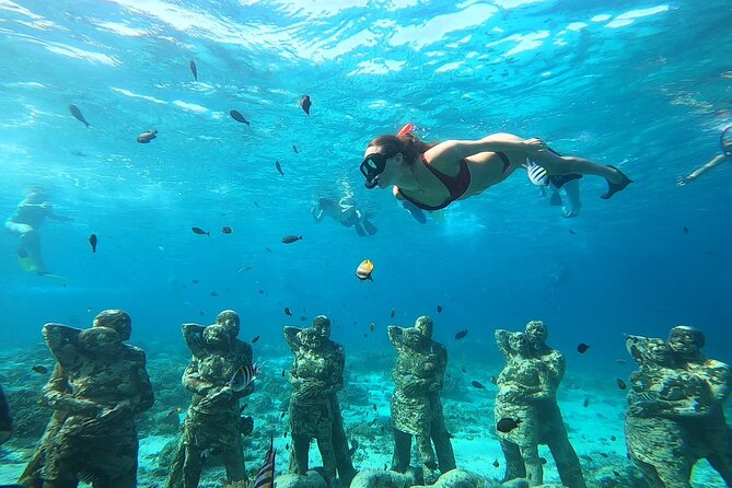 Public Snorkeling 3 Islands - Fish feeding in the middle: fun, but handle it thoughtfully