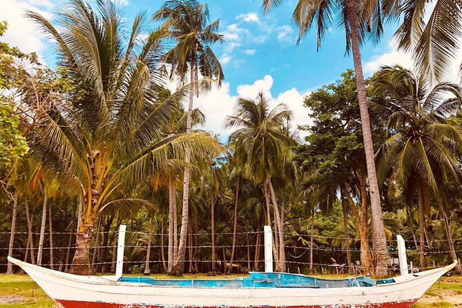 Puerto Princesa Honda Bay Island Hopping Shore Excursion - Price and value: is $173 per person reasonable?