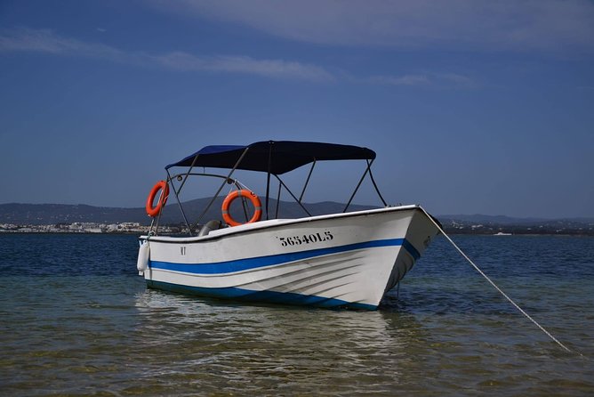 Ria Formosa - Boat trip to the 3 Islands: Armona | Culatra Island | Lighthouse - Ilha do Farol (Lighthouse Island): One Hour, Make It Count