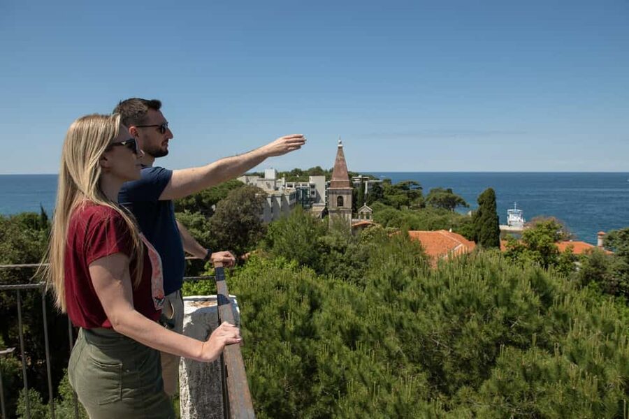 Rovinj: Luxury Island Hopping with Swimming & Snorkeling - Katarina Island Cliff Jump: Optional, Quick, and For the Bold