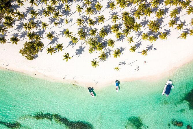 Saona Island Cruise & Private Beach - From Bayahibe to Saona: the ride that sets the tone