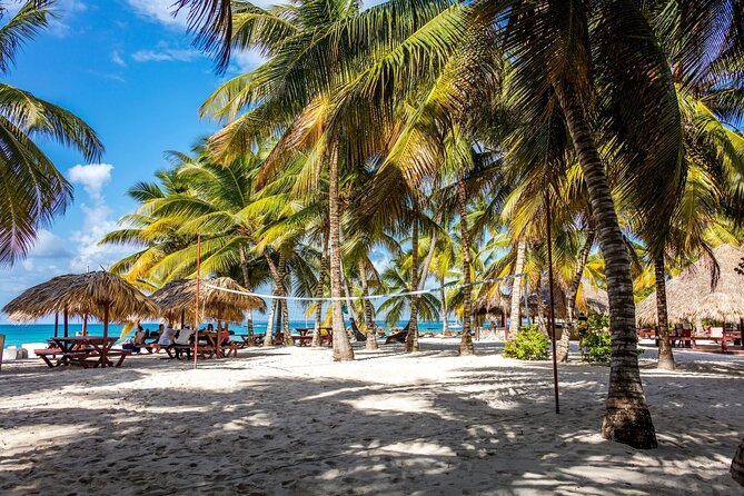 Saona Island Cruise & Private Beach - Cotubanama National Park snorkel stop: what you’re actually doing