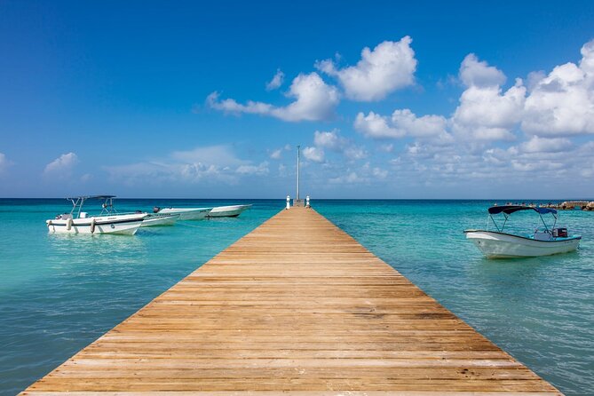 Saona Island Cruise & Private Beach - Price and value: is $133 a fair deal for this day?