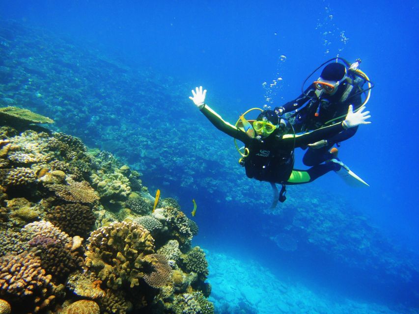 Scuba Diving 3 Islands Nha Trang Tour - Key Things to Know Before You Go