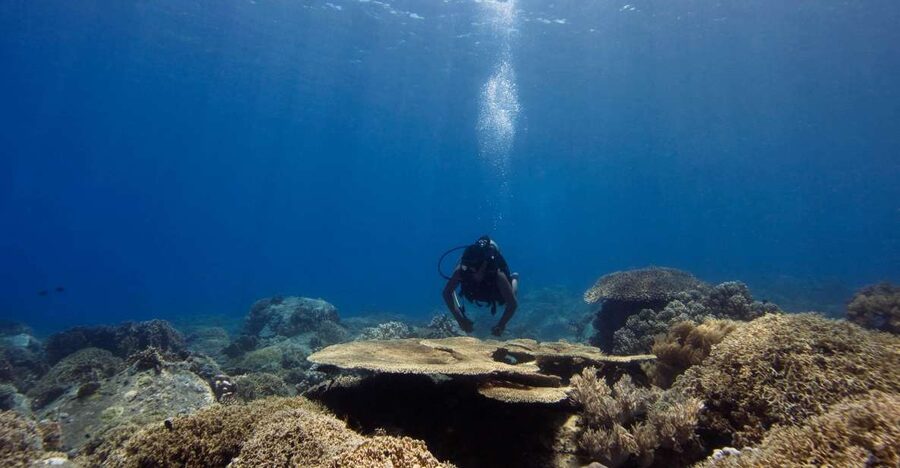 Scuba Diving 3 Islands Nha Trang Tour - Getting Picked Up and Reaching Nha Trang Bay