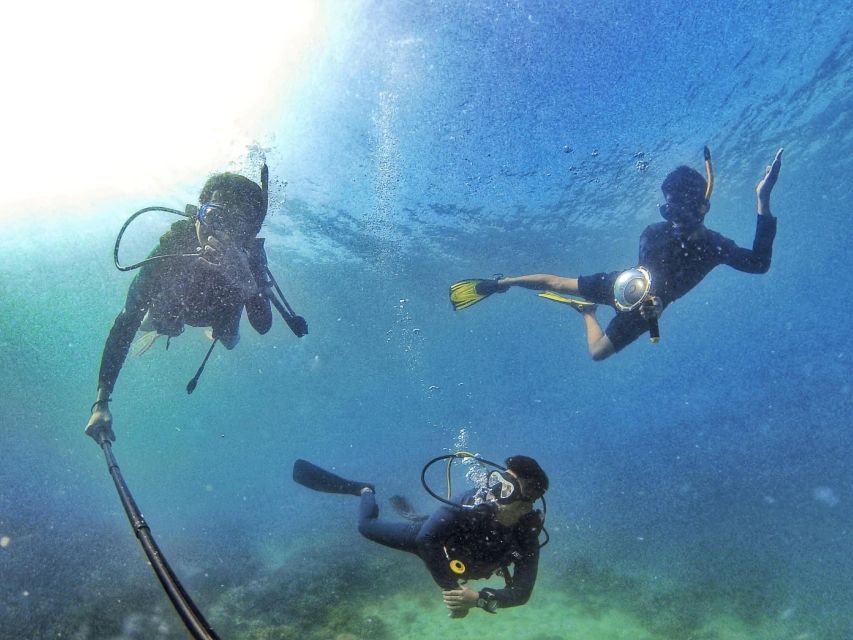 Scuba Diving 3 Islands Nha Trang Tour - Guide Style and Independence: What the Scuba Session Feels Like