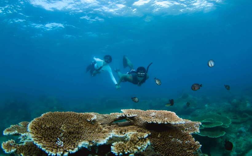 Semporna: Explore 3 Islands Tour Snorkel or Dive & Lunch - Timba Timba Island: beach time, water fun, and the closure reality