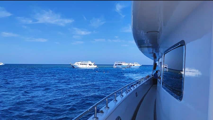Sharm El-Sheikh: Luxury Ras Mohammed & White Island Cruise - White Island: beach time, photo stops, and getting in the water comfortably