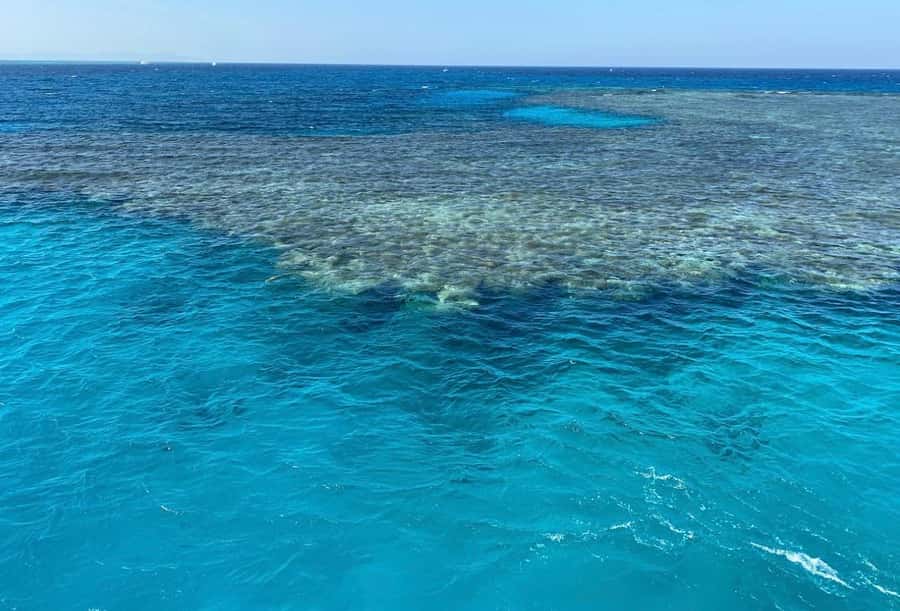 Sharm el-Sheikh: Premium Ras Mohammed & White Island Cruise - Who should book this cruise (and who should think twice)