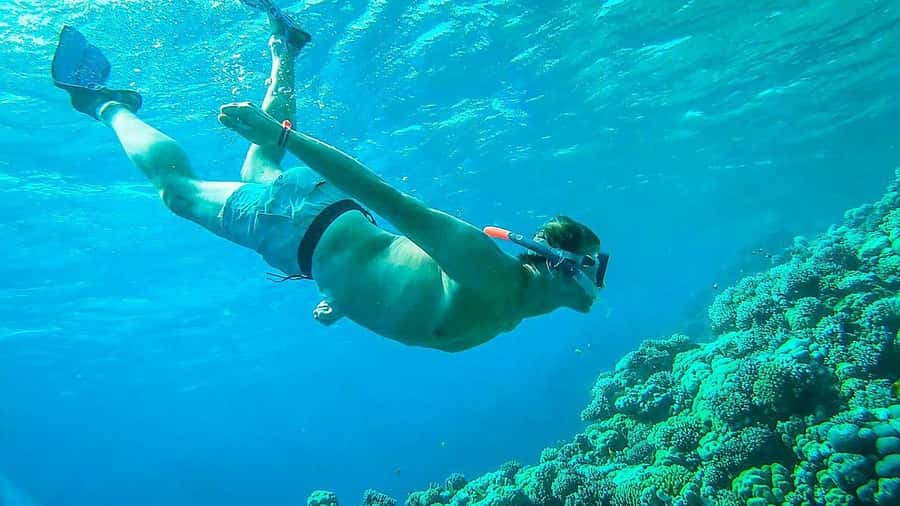 Sharm El Sheikh: Ras Mohamed and White island cruise - Key highlights you’ll care about