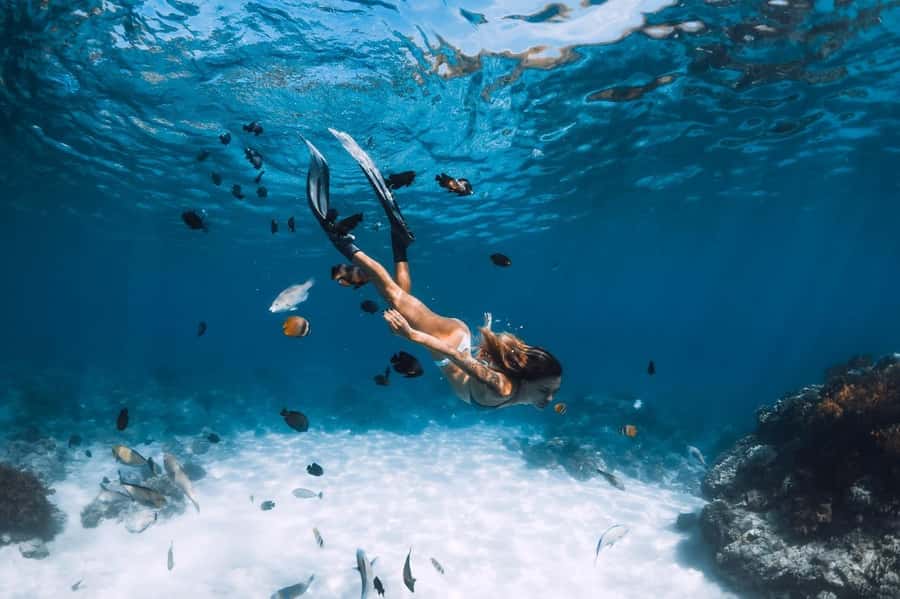 Sharm El Sheikh: Ras Mohamed and White island cruise - Snorkeling at reef stops: what to expect and how to set your expectations