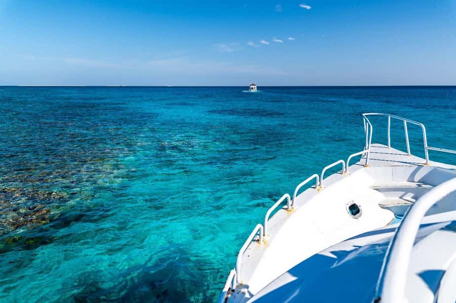 Sharm El Sheikh: Ras Mohamed and White island cruise - White Island: the hour on pristine sand (and the tide twist)