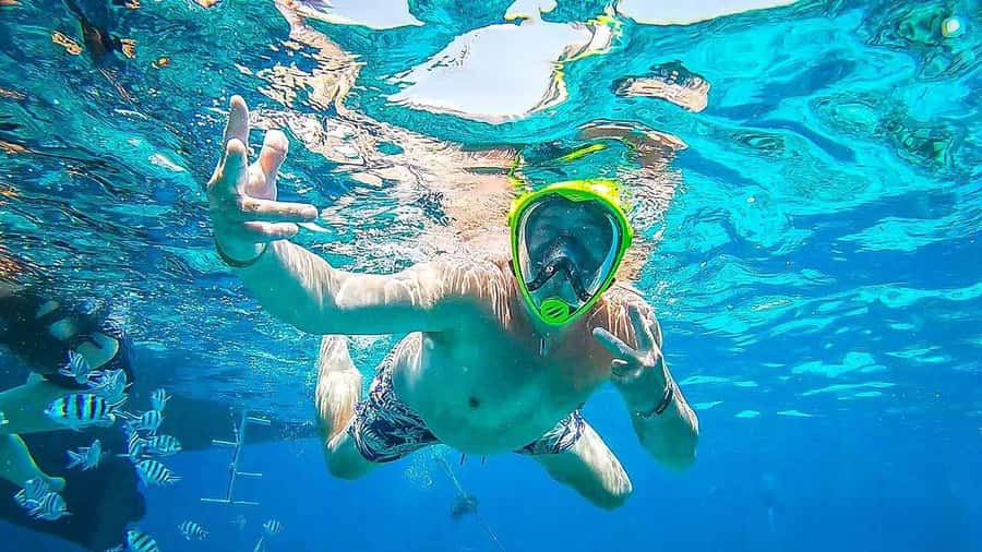 Sharm El Sheikh: Ras Mohamed and White island cruise - Should you book the Ras Mohammed and White Island cruise?