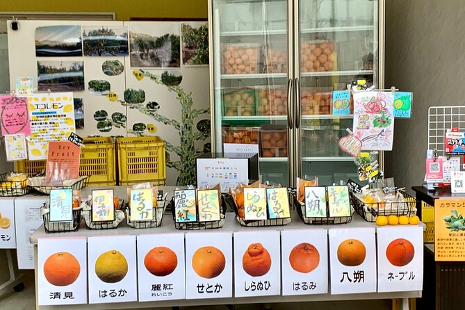 Shimanami Kaido, 1Day Relaxed Island Hopping Cycling Tour - Tatara Bridge and Sunset Beach: extra cycling for photo hounds