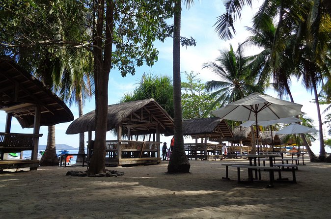 Shore excursion: Puerto Princesa Island Hopping Tour - Who this Honda Bay tour is best for
