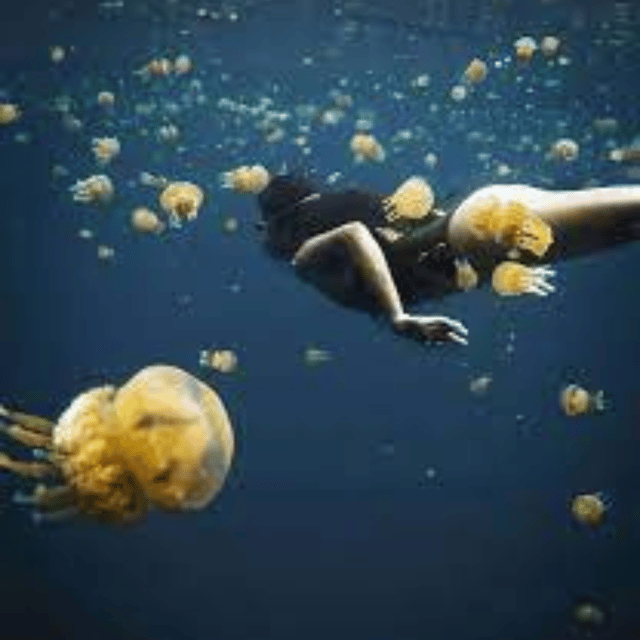 Siargao:Sohoton Island Hopping Tour with Jellyfish Sanctuary - The cave circuit: Hagukan Cave and Magkukuob Cavern energy