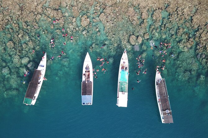 Snorkeling and Island Hopping Tour in Karimunjawa (sharing tour) - Key highlights you’ll care about