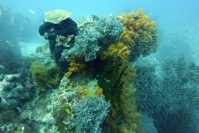 Snorkeling and Island Hopping Tour in Karimunjawa (sharing tour) - Island stop one: white beach time and a real BBQ lunch