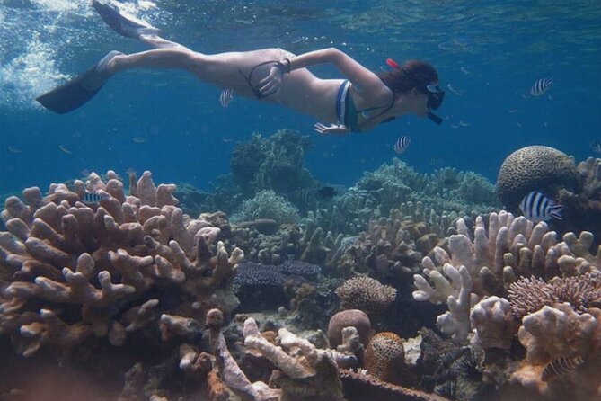 Snorkeling and Island Hopping Tour in Karimunjawa (sharing tour) - Island stop two: photos, swimming, and sunset on the way back