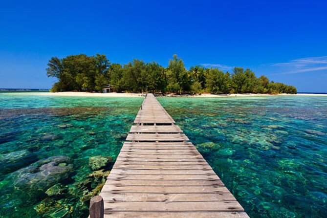 Snorkeling and Island Hopping Tour in Karimunjawa (sharing tour) - The underwater camera perk: why included photos matter