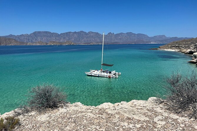 Snorkeling Catamaran Island Cruise - Key things worth knowing before you go