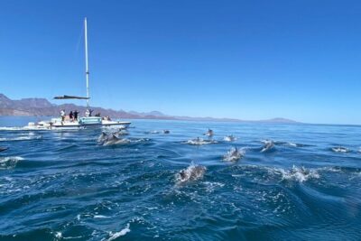 Snorkeling Catamaran Island Cruise - Price and value: what the $99 really covers