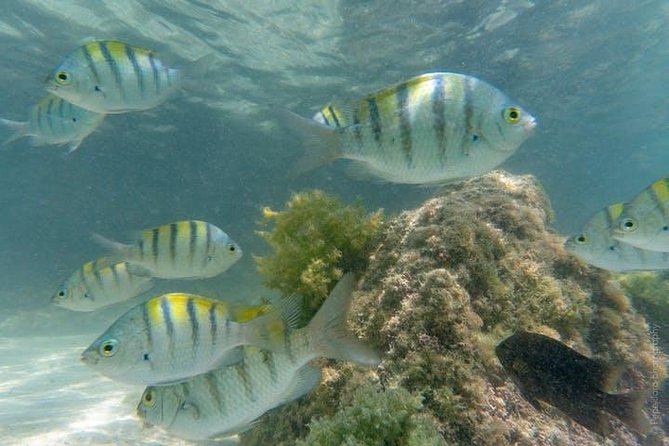Snorkeling Catamaran Island Cruise - What to bring so nothing slows you down
