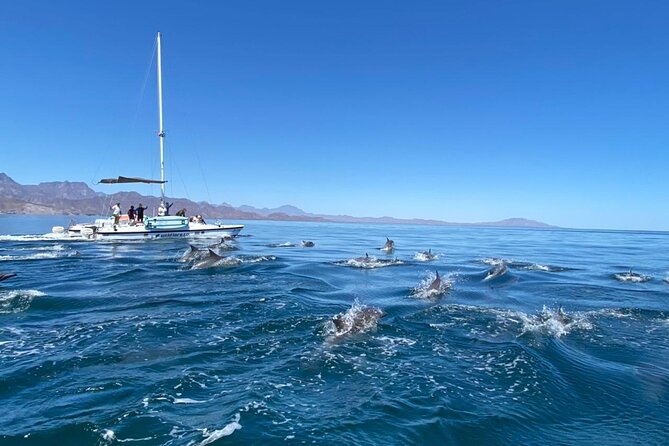 Snorkeling Catamaran Island Cruise - Price and value: what the $99 really covers