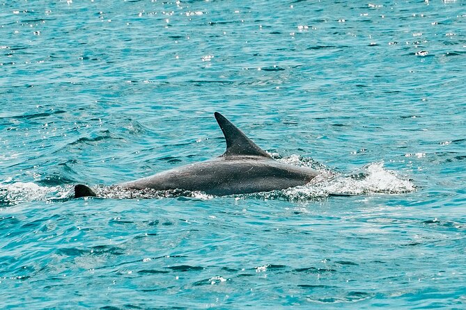 Split: Blue Lagoon & 3 Island Cruise with Wine & Snorkeling - Trogir Stop: How to Use Your 1 Hour Wisely