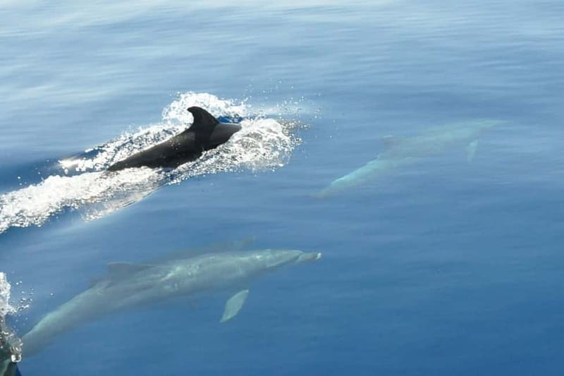 Split: Private Blue Lagoon 3 islands with speed boat - A private speed boat day you can actually shape to your group
