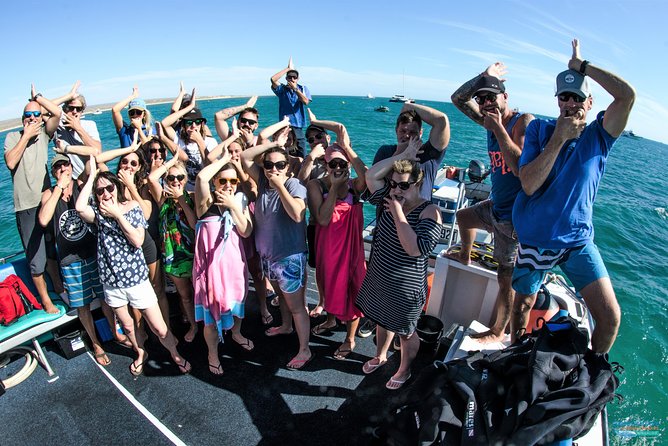 Swim with Humpback Whales - Ningaloo Reef - 3 Islands Whale Shark Dive - Who this tour fits best (and the main gotchas)