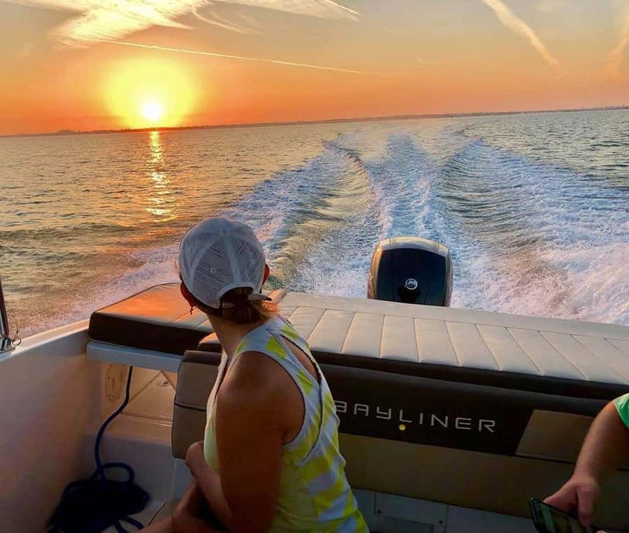 Tampa Bay: Private Sunrise Dolphin & Island Cruise - Dolphins and Tropical Birds: How to Get the Most From Morning Wildlife