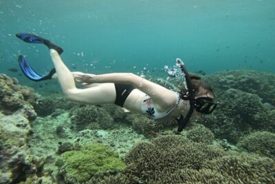 Three Islands Snorkeling (3 Spots) Manta Rays - From Lembongan - Manta Bay / Manta Point: your best shot at giant manta rays