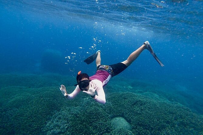 Three Islands Snorkeling (3 Spots) Manta Rays - From Lembongan - Capturing the underwater experience: camera help you can actually use