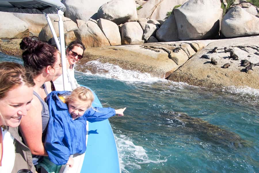 Victor Harbor: Seal Island Cruise - Granite Island to Seal Island: the short ride that delivers