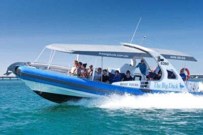 Victor Harbor: Seal Island Cruise - Finding the meeting point and handling that causeway walk