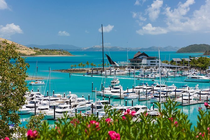 Whitehaven Beach and Hamilton Island Cruise from Airlie Beach - Lunch at Marina Tavern or Popeyes: what’s included and why it matters