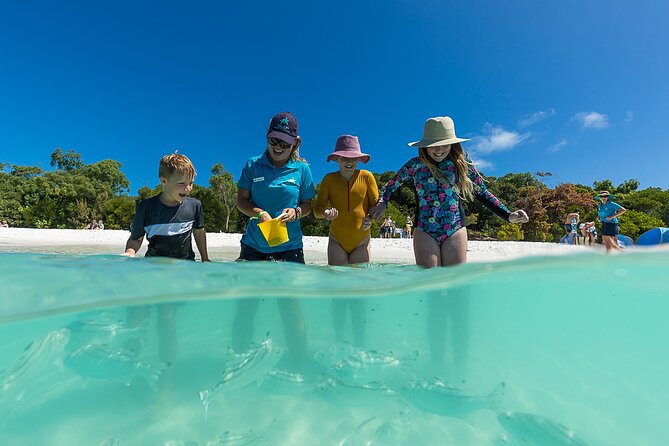 Whitehaven Beach and Hamilton Island Cruise from Airlie Beach - Practical tips to make the day feel easy (not rushed)