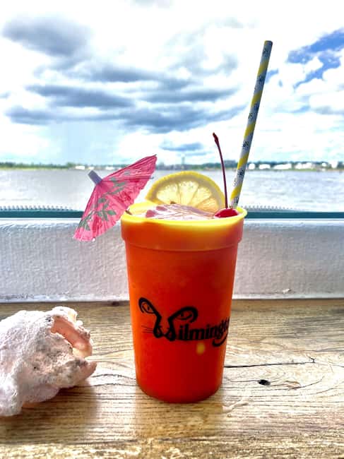 Wilmington: Eagles Island Cruise--Eco-History Cruise - Quick Takeaways