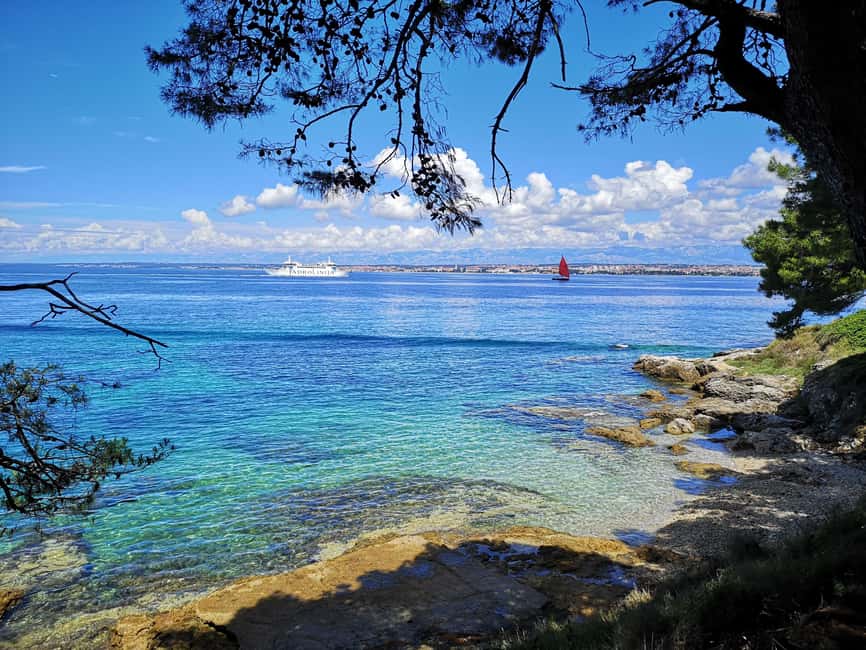 Zadar: 3 Islands Speedboat Tour with Drinks and Diving - Timing your day: how to make the return feel special