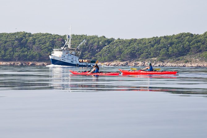 Zadar Archipelago 3 Islands Sea Kayaking Day Trip - Snorkeling Breaks: Why Clear Water Stops Time