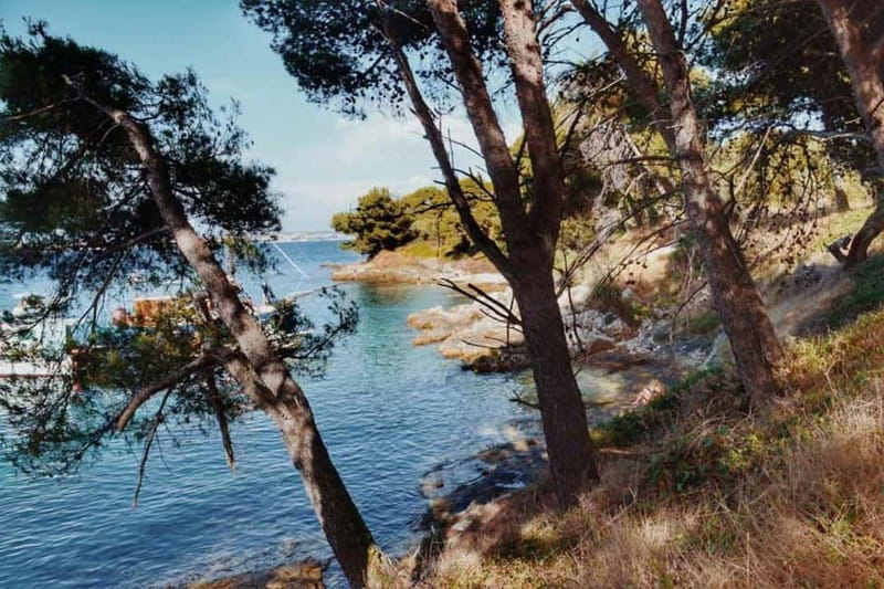 Zadar: Island cruise with drinks, snorkeling and kayaking - Kayak and SUP time: fun, but one of each